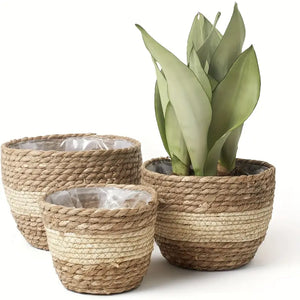Set aus 3 handgeflochtenen Seegras-Pflanzkörben