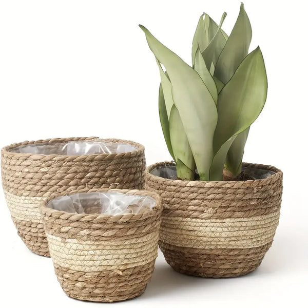 Set aus 3 handgeflochtenen Seegras-Pflanzkörben