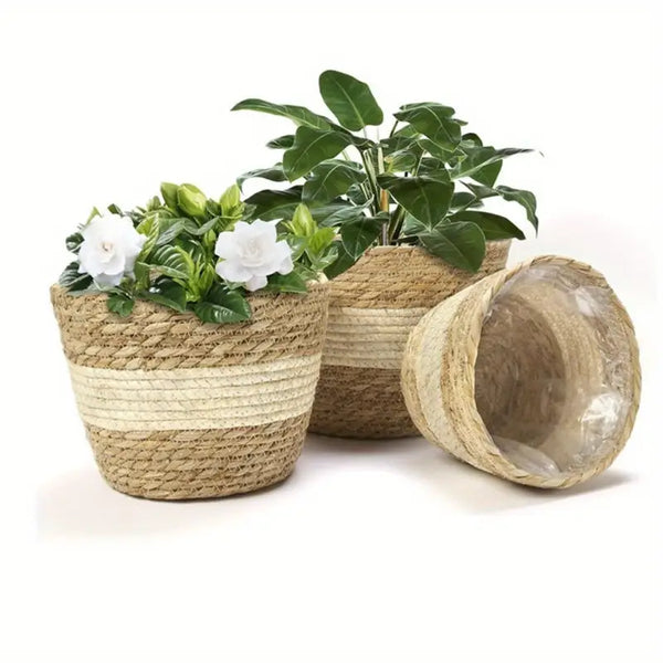 Set aus 3 handgeflochtenen Seegras-Pflanzkörben