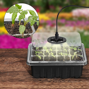Mini-Gewächshaus mit LED-Pflanzenlampe