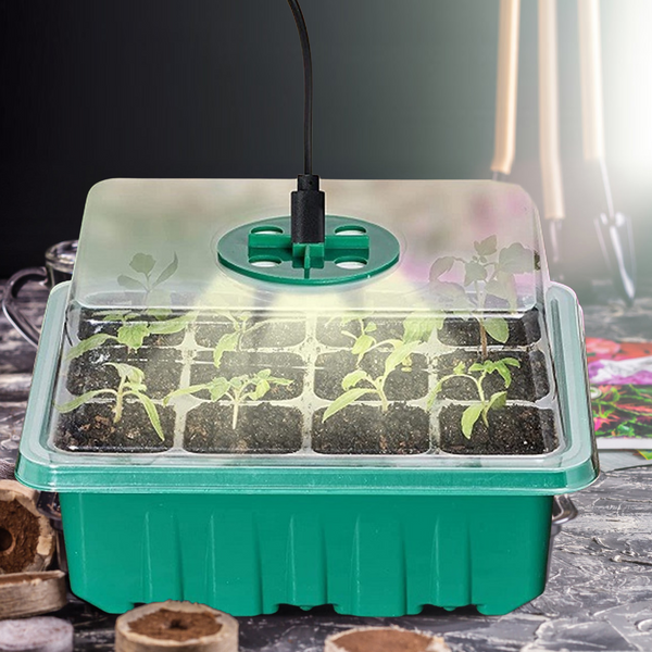 Mini-Gewächshaus mit LED-Pflanzenlampe