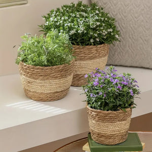 Set aus 3 handgeflochtenen Seegras-Pflanzkörben