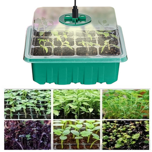 Mini-Gewächshaus mit LED-Pflanzenlampe