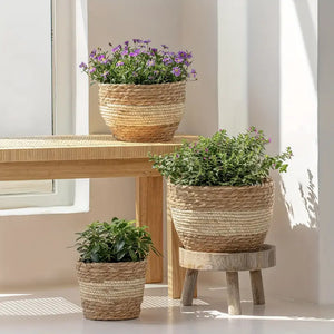 Set aus 3 handgeflochtenen Seegras-Pflanzkörben