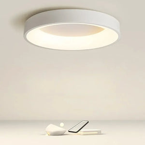 Runde LED-Deckenleuchte im Nordischen Design für Wohnzimmer und Flure