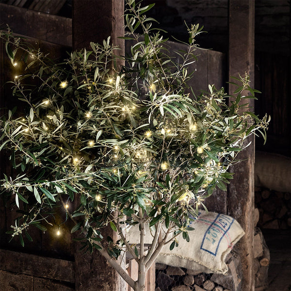 Festliche LED Weihnachts Lichterketten